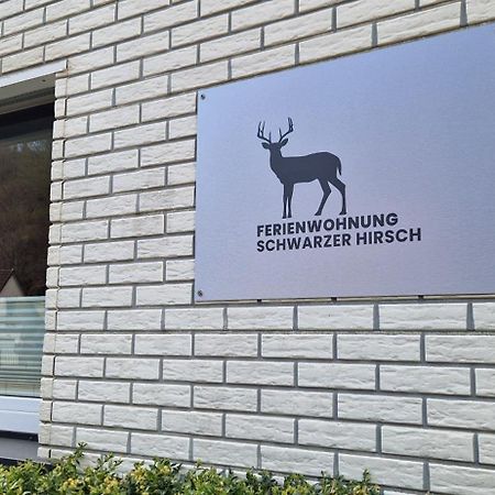 Ferienwohnung 1 am Berg Wieda Exterior foto